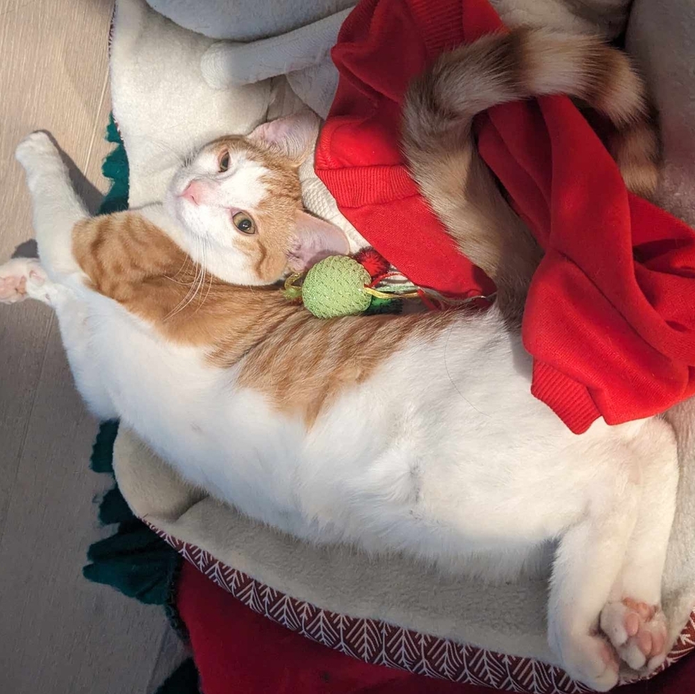 Meet your Posher, Avery